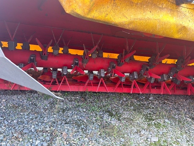 Blades of Pottinger Novacat